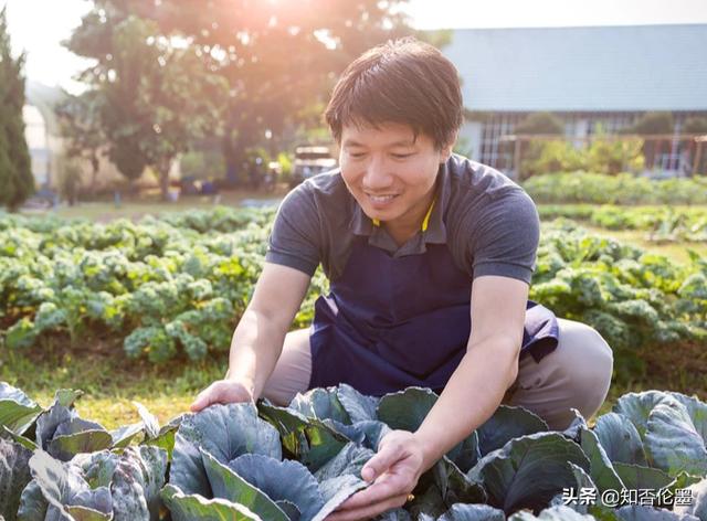 如何白手起家創(chuàng)業(yè)致富，農(nóng)村白手起家賺錢項目？