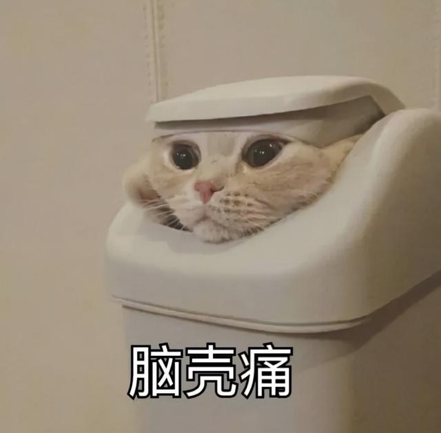 公眾號視頻如何保存到手機(jī)相冊里（公眾號視頻如何保存到手機(jī)相冊中）