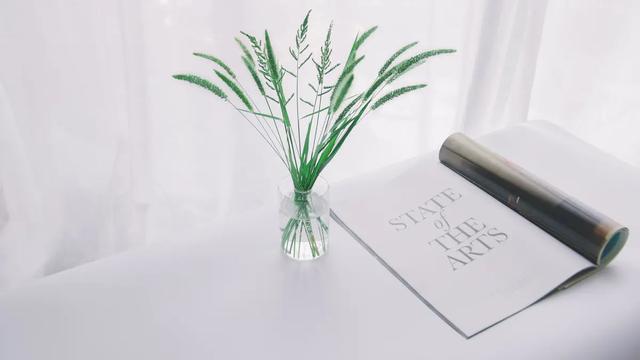 怎么增長小紅書粉絲（小紅書怎么提升粉絲）