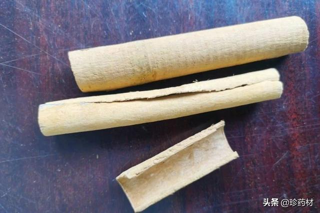 金蟬花多少錢一斤（新鮮金蟬花多少錢一斤）