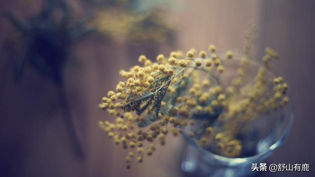 桃花劫是情劫嗎，桃花劫要擋,桃花債要還？