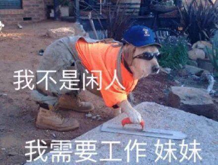 可以掙錢的軟件app下載（可以掙錢的軟件app游戲）