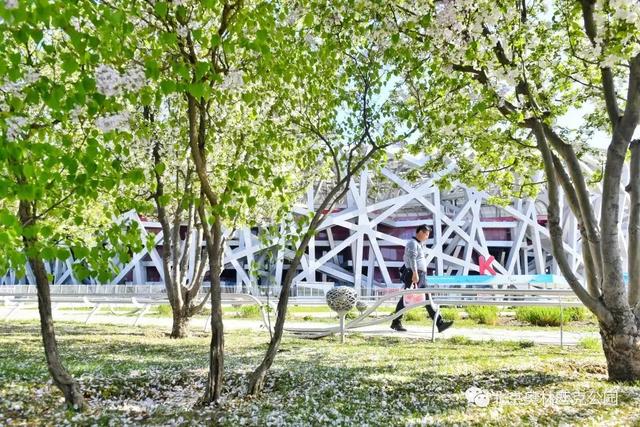 北京公園預(yù)約小程序叫什么，北京公園預(yù)約小程序叫什么名字？