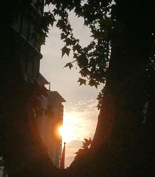 情到深處難自禁啥意思（情到深處難自禁下一句是什么）