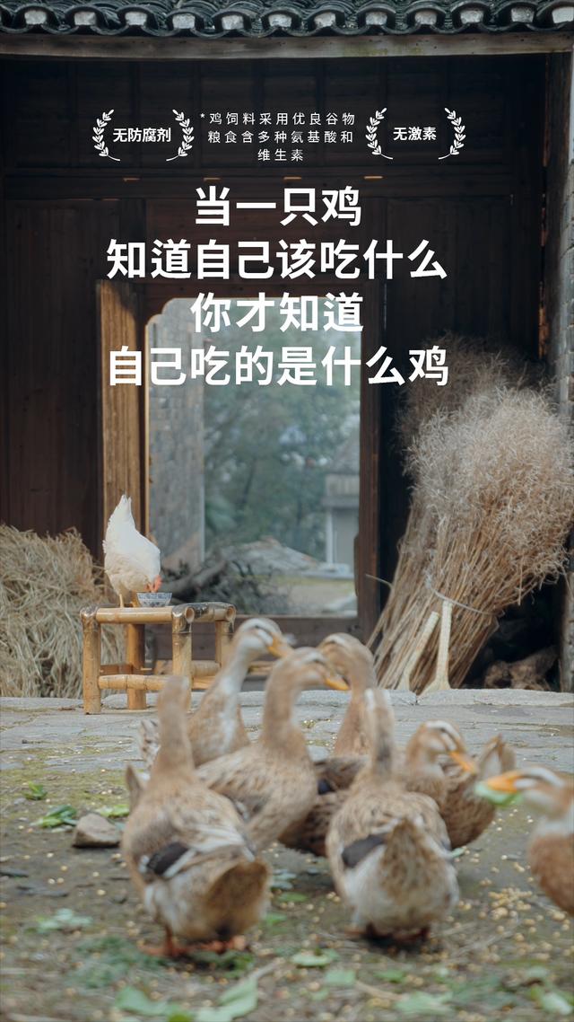 ifashion怎么讀（ifashion淘寶是正品嗎）
