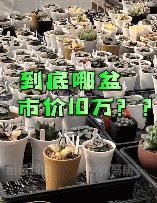 閑魚客服24小時熱線人工電話acecom閑魚客服24小時熱線人工電話號碼at（閑魚客服24小時熱線人工電話號碼）