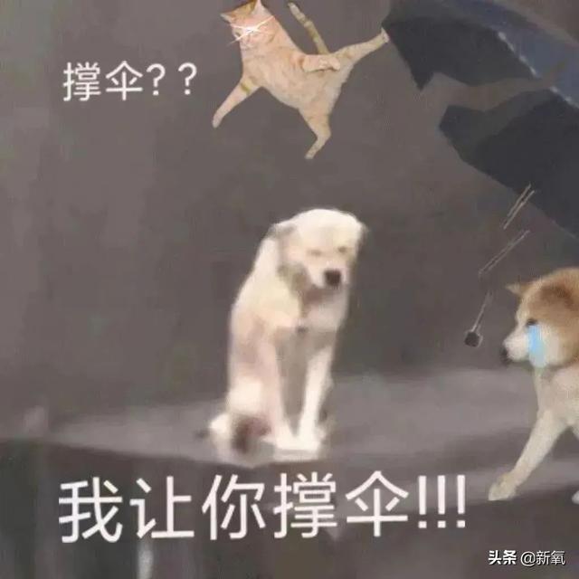 織音app唱歌真的能掙錢(qián)嗎，織音app唱歌賺錢(qián)是真的嗎,收益怎么樣-手賺聯(lián)盟？