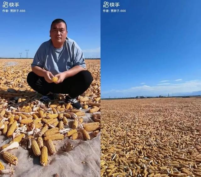 一般的快手主播一天掙多少錢，快手主播一月能賺多少？