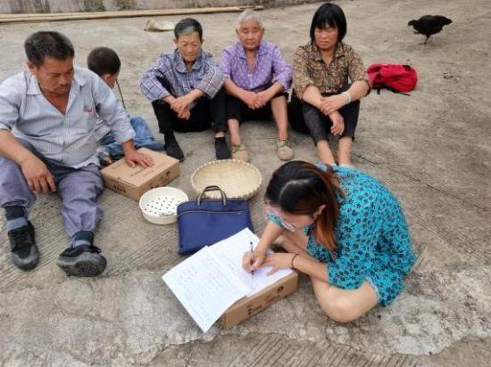 河南冬瓜視頻直播基地，冬瓜視頻冬瓜市？