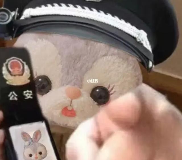 龜龜是哪個明星的粉絲名（龜龜是誰家粉絲）