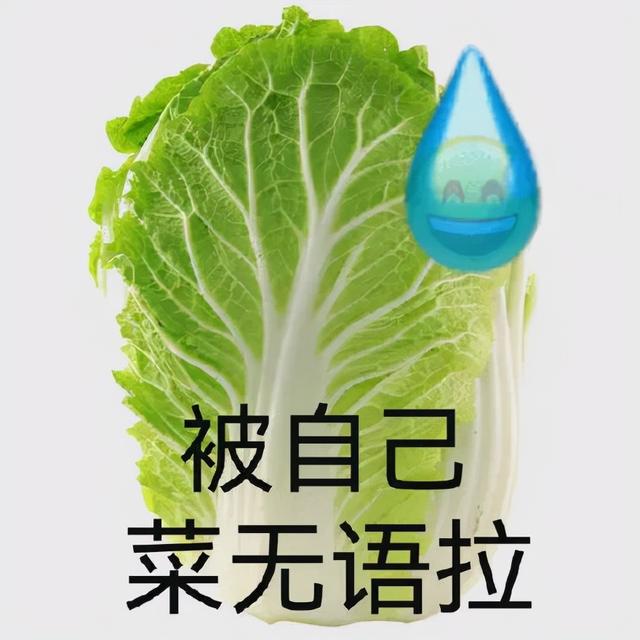 抖音快手多少粉絲可以賺錢?。ǘ兑艨焓钟卸嗌俜劢z就可以賺錢）