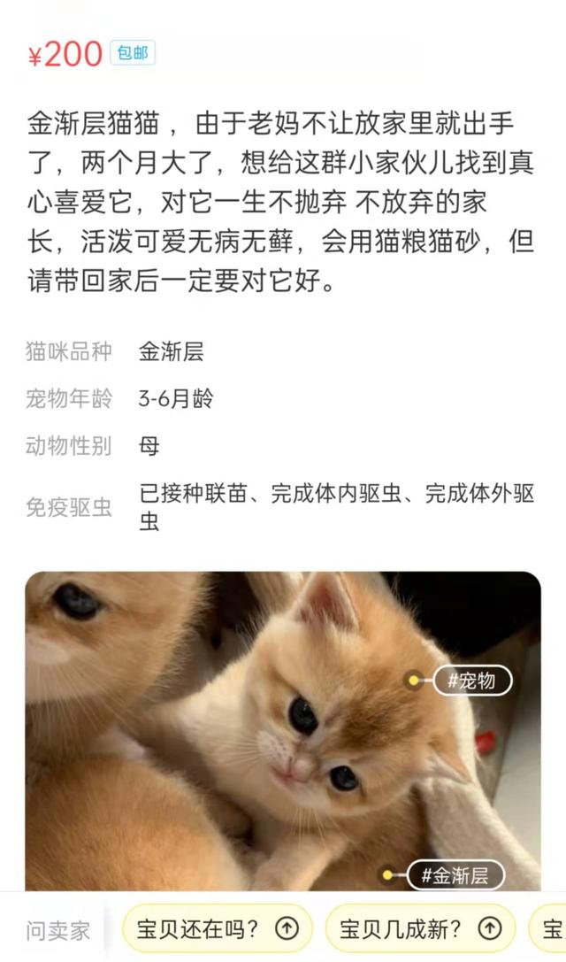 閑魚賣東西有沒有手續(xù)費(fèi)，閑魚賣東西有沒有手續(xù)費(fèi)啊