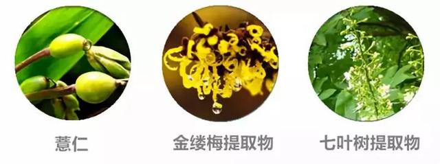 韓醫(yī)生專業(yè)祛痘皮膚管理中心（北京韓醫(yī)生祛痘連鎖機(jī)構(gòu)）