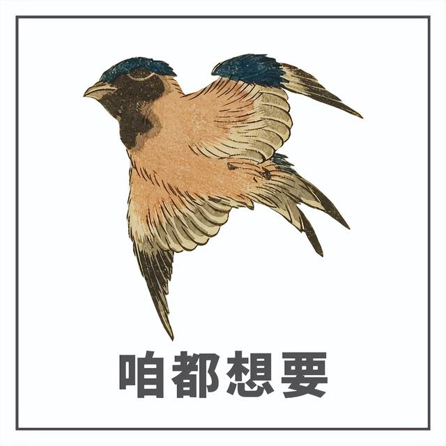 一般公司破產(chǎn)流程需要幾個月時間內(nèi)（一般公司破產(chǎn)流程需要幾個月時間清算）