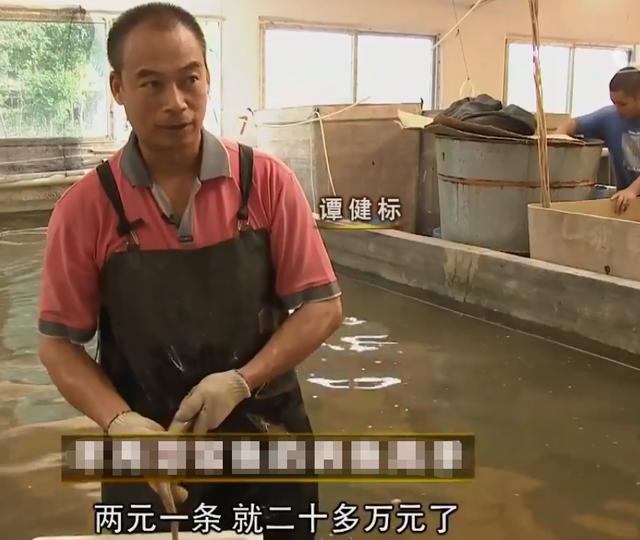 水產(chǎn)生意有多暴利（水產(chǎn)行業(yè)利潤）