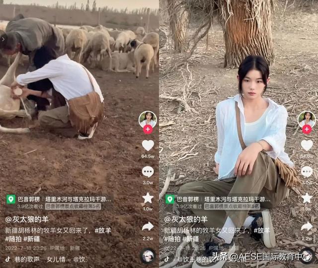 抖音美女千千萬下一句是什么啊視頻，抖音美女千千萬萬？