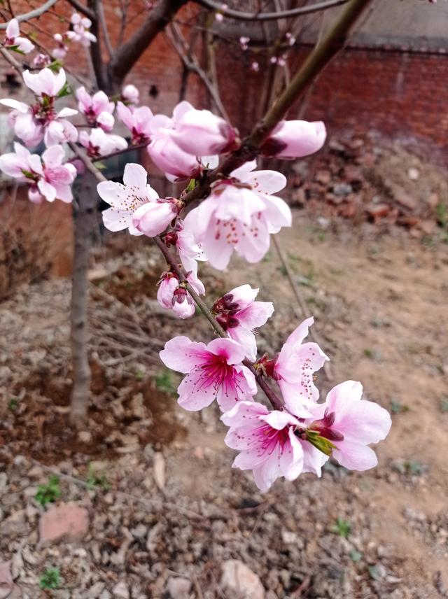 怎么創(chuàng)業(yè)從哪開始白手起家，怎么創(chuàng)業(yè)呢白手起家？