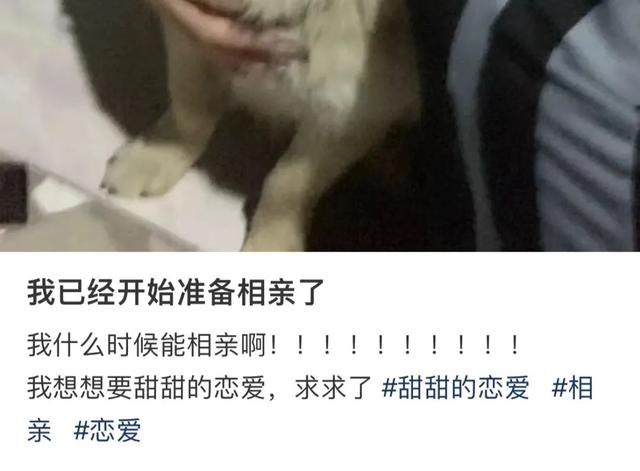 小紅書自媒體怎么賺錢 知乎（小紅書自媒體怎么賺錢快）