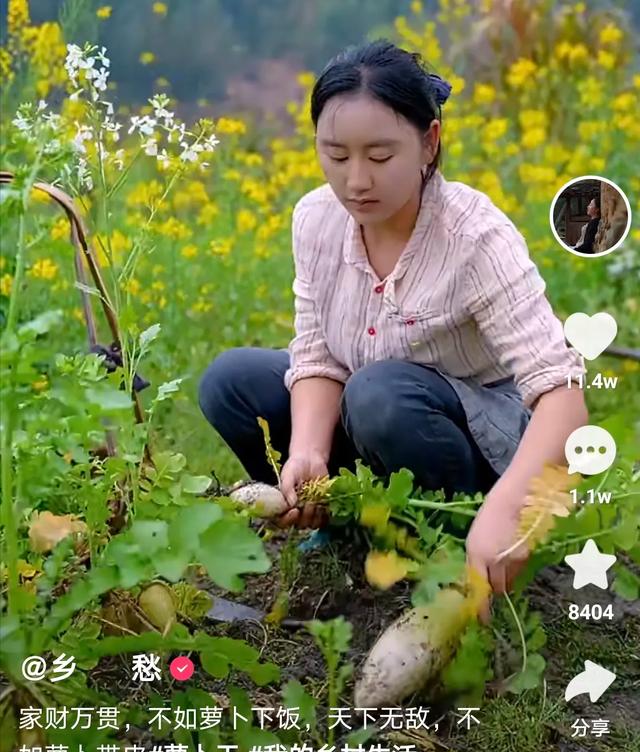 快手100萬(wàn)粉絲一天收入多少（快手一百萬(wàn)粉絲的收入）