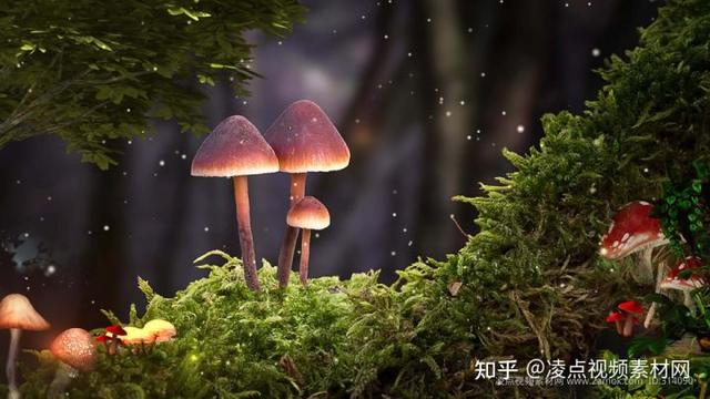 抖音視頻素材庫網(wǎng)站免費，抖音視頻素材庫網(wǎng)站免費下載？