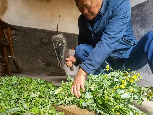 幸福養(yǎng)豬場(chǎng)賺錢是真的嗎知乎（幸福養(yǎng)豬場(chǎng)賺錢是真的嗎下載）