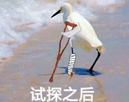 支付寶朋友代付可以用花唄嗎（淘寶幫朋友代付可以用花唄嗎）
