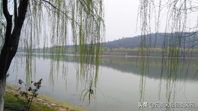 尚可詩牌子怎么樣 健康嗎（尚可詩是品牌嗎）