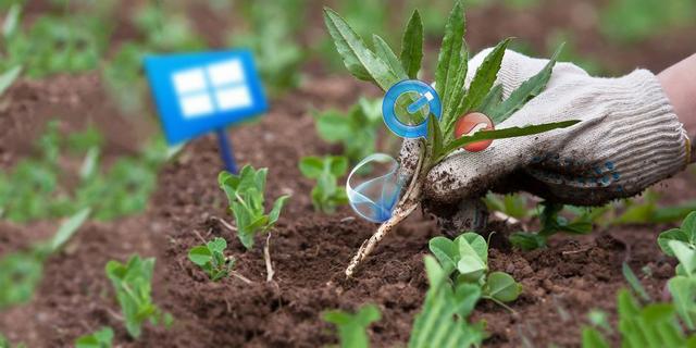 windowsapps文件夾怎么刪除（win10怎么刪除windowsapps文件夾）