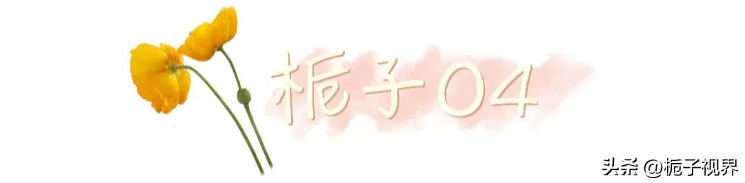 安卓怎么發(fā)朋友圈純文字，微信怎么發(fā)朋友圈純文字？