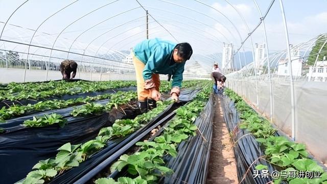 現(xiàn)在做什么生意賺錢投資小利潤(rùn)大村里（縣城適合做什么生意投資小回報(bào)快呀）
