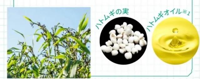 韓醫(yī)生專業(yè)祛痘皮膚管理中心（北京韓醫(yī)生祛痘連鎖機(jī)構(gòu)）