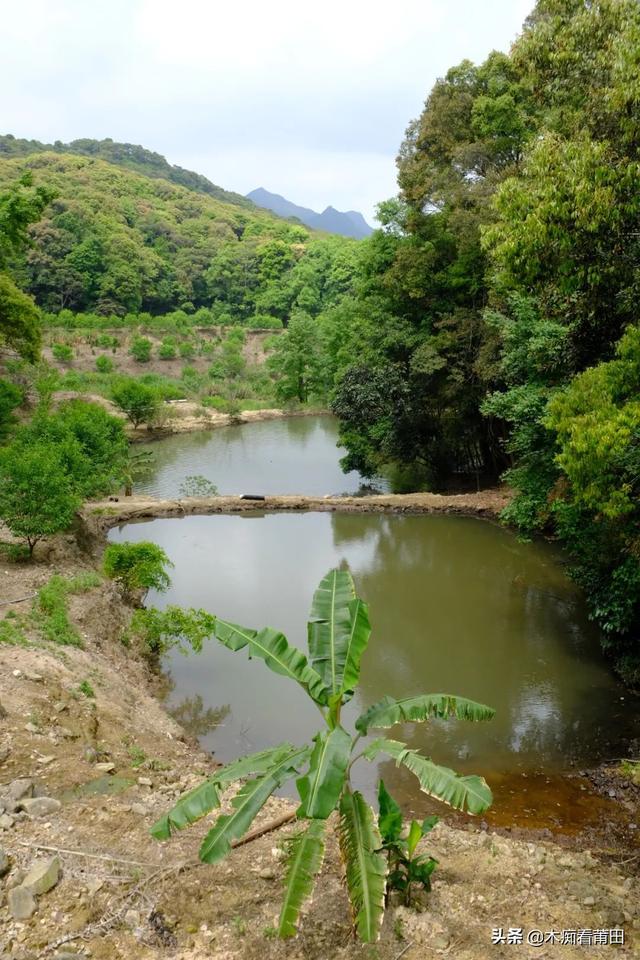 莆田小魚網(wǎng)純莆天地（莆田小魚網(wǎng)招聘最新招聘信息）