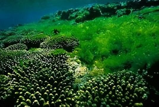 氧氣生活制氧機(jī)怎么用（氧生活家用制氧機(jī)）