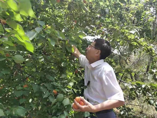 靜候陌上花開什么意思（安之若素靜守陌上花開什么意思）