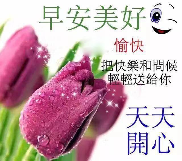 早上好的朋友圈說說正能量，早上好的朋友圈說說正能量帶圖片？