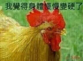 可以掙錢的軟件app下載（可以掙錢的軟件app游戲）