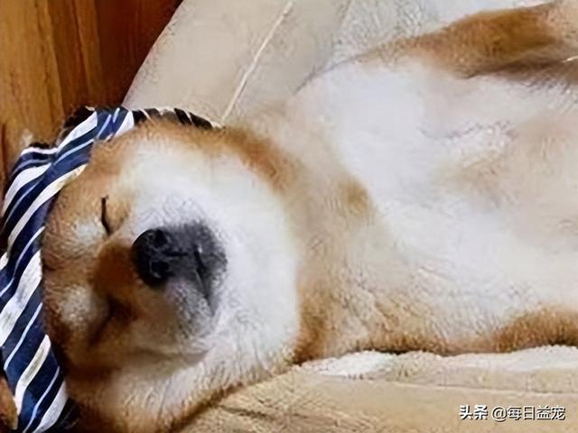 抖音上那個喝酒的視頻搞笑叫什么來著，抖音上那個喝酒的視頻搞笑叫什么名字？