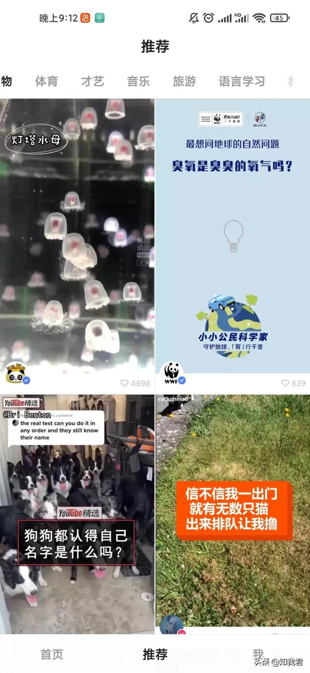 新浪微博視頻號入口（微博視頻號的視頻管理在哪）
