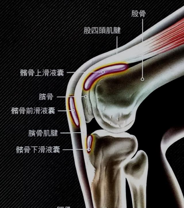 經(jīng)常吃菠蘿是什么梗（多吃菠蘿的梗）