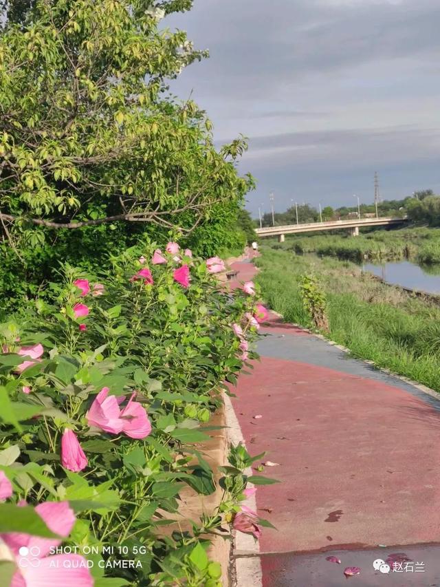 識花微信小程序，可以識花的小程序？