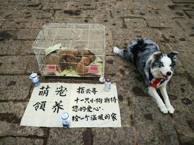 018賺錢項目排行榜（最好的掙錢項目）"