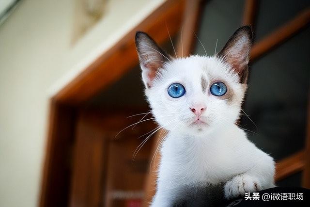 大學(xué)生賺錢的渠道有哪些，大學(xué)生兼職賺錢好平臺(tái)？