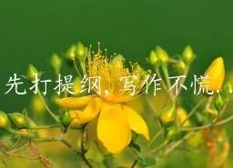 新手如何寫公眾號文章賺錢的（怎樣公眾號寫文章賺錢）