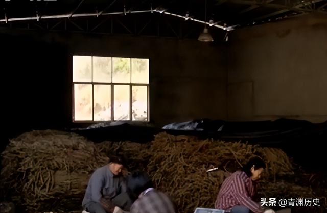走投無路了找快速賺錢路子2020（走投無路了怎么快速賺錢）