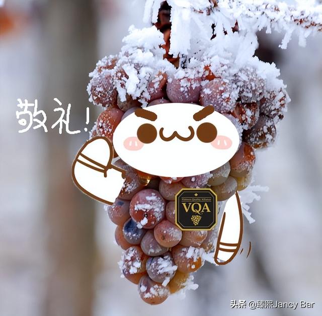 女人有三寶指的是什么（女神有三寶什么意思）