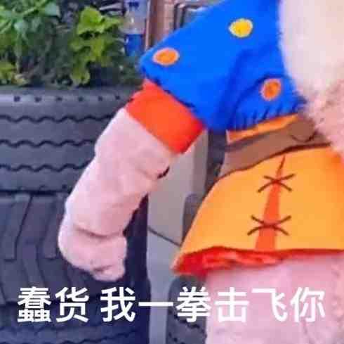 龜龜是哪個明星的粉絲名（龜龜是誰家粉絲）
