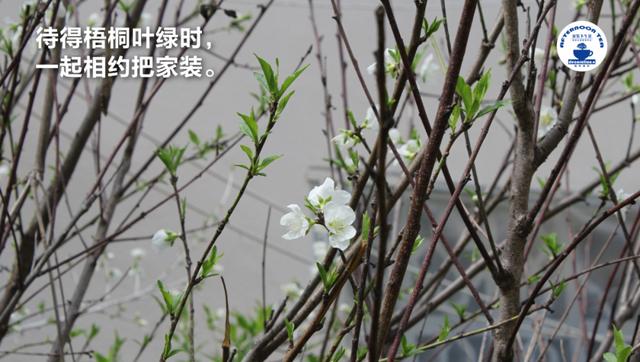 裝修公司朋友圈推廣語圖片大全（裝修公司朋友圈推廣語圖片文字）