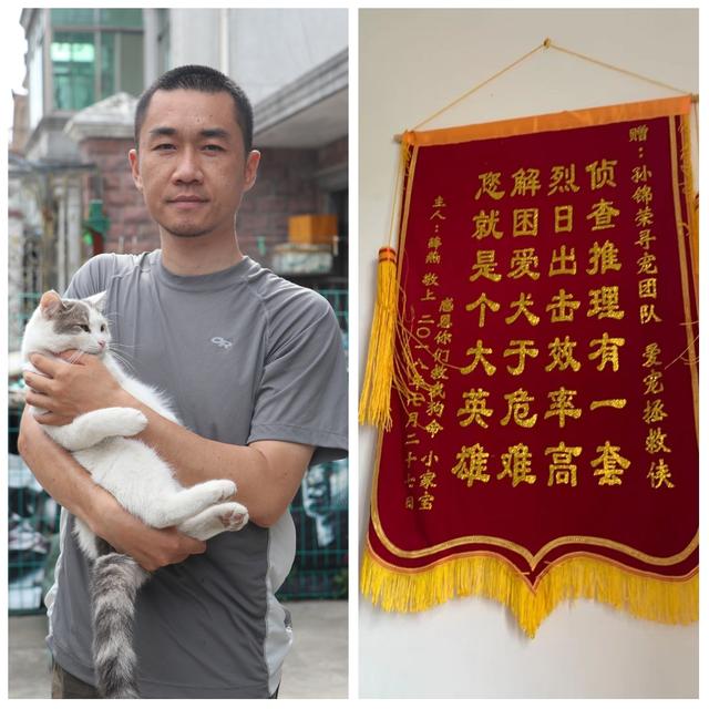 懸賞貓賺錢是真的嗎安全嗎，懸賞貓賺錢是真的嗎安全嗎？