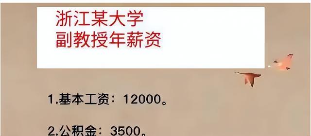 大學老師可以做的副業(yè)，大學老師能干副業(yè)嗎？