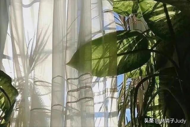 沒本錢怎么快速賺錢，怎樣無本錢快速掙錢？